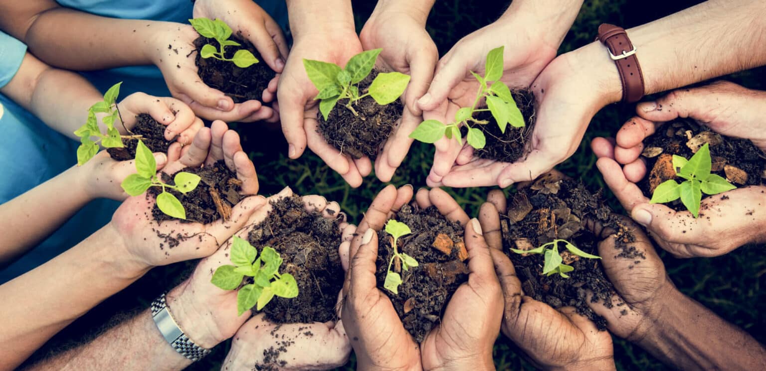 Indigenous cultural site